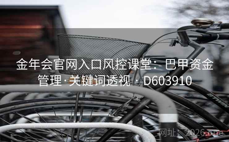 金年会官网入口风控课堂：巴甲资金管理·关键词透视 · D603910  第2张