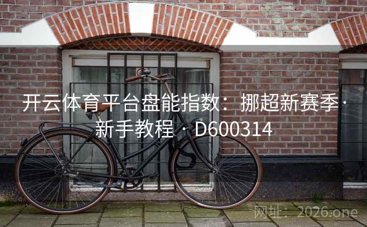 开云体育平台盘能指数：挪超新赛季·新手教程 · D600314  第2张