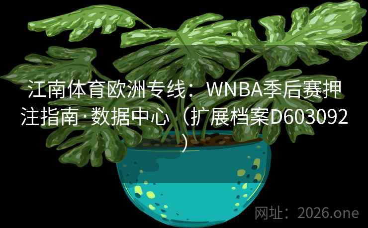 江南体育欧洲专线：WNBA季后赛押注指南·数据中心（扩展档案D603092）