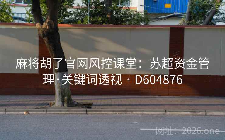 麻将胡了官网风控课堂：苏超资金管理·关键词透视 · D604876