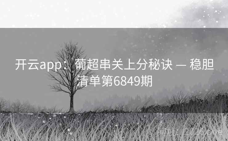 开云app：葡超串关上分秘诀 — 稳胆清单第6849期  第2张